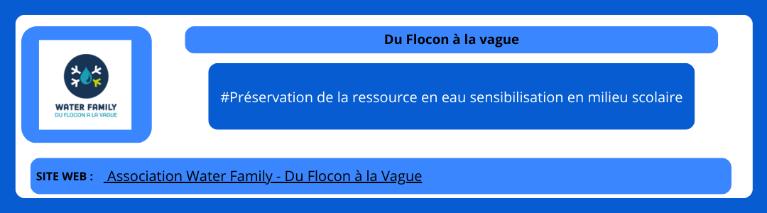 Du Flocon à la vague